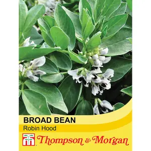 Broad Bean Robin Hood 1 Seed Packet (35 Seeds)