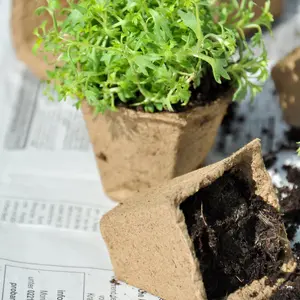 simpa 24Pcs Biodegradable Fibre Seedling Pots. 12 Grids 45mm Square Transplanting Pots with 1PC Super Seeder.