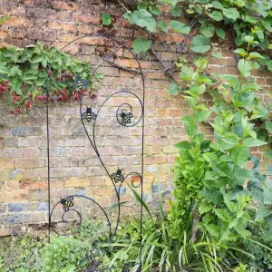 Primrose Bee-Conscious Garden Trellis Plant Support in Black 170cm