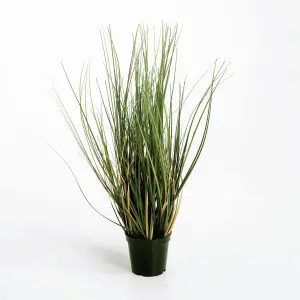 Blooming Artificial - 46cm / 1.5ft Fake Onion Grass