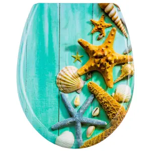 Toilet Seat - soft-close, durable hinges, easy to install, 45.5 x 38 x 5 cm - starfish