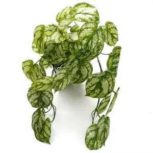 35cm Artificial Trailing Light Green Plant