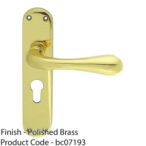 Rounded Flaired Latch & EURO Lock Door Handle - Polished Brass Lever Backplate