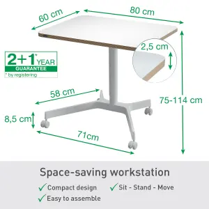 Leitz Ergo Electric Sit & Standing Desk Adjustable Movable Home Office Compter Laptop Table Workstation