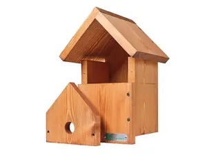 Green Feathers Wired Connection 1080p HD Camera and Small Wooden Bird Box Starter Pack