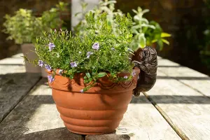 English Bulldog Plant Pot Hanger