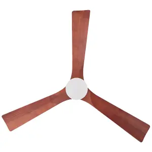 Ceiling Fan with Light Brass ARUWIMI