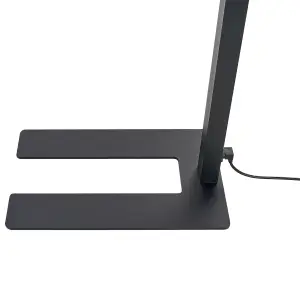 Metal LED Floor Lamp Black MENSA