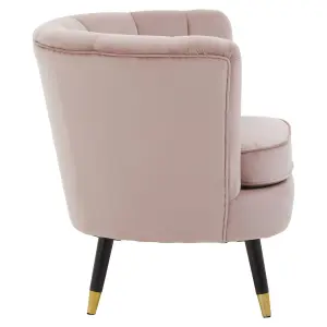 Interiors by Premier Dusty Pink Velvet Chair with Black Wood & Gold Finish Legs, Backrest Armchair, Easy to Clean Dining Chair