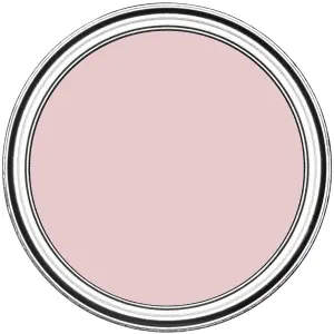 Rust-Oleum Pink Champagne Matt Multi-room Furniture paint, 125ml