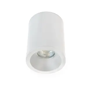 Luminosa Fred Outdoor Spotlight 1xGU10 IP65 Tubular White