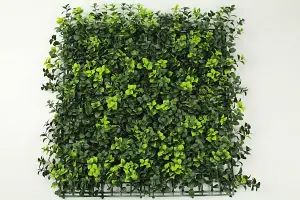 Primrose Dark Buxus Artificial Hedge Garden Patio Panels 50cm x 50cm