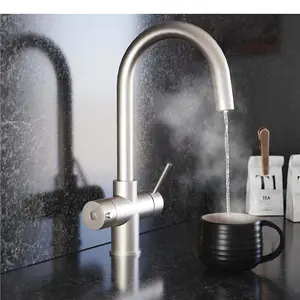 Liquida HT43BN 4 in 1 Brushed Nickel Instant Boiling Water Kitchen Tap