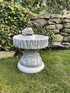 Rustic Garden Birdbath with Frog atop