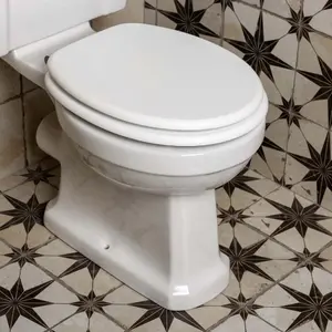 White Soft Closing Toilet Seat