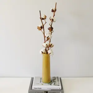 2 x Natural Dried Cotton Stems - Approx. 60cm in Height - Dried Flowers - Ideal for Home Décor - Flower Arranging