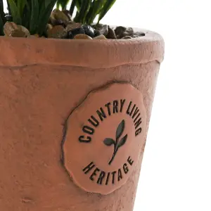 Country Living Aged Herb Pot - Lavender