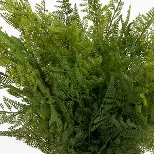 Blooming Artificial - 12-Pack of Faux Forest Fern Stems - Indoor Use