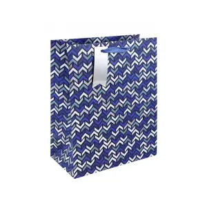 Eurowrap Chevron Gift Bag (Pack Of 6) Blue/White (M)