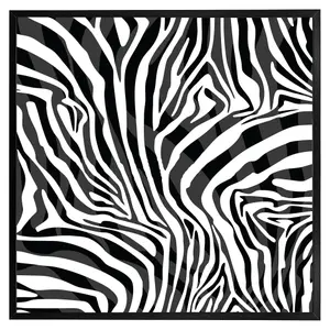 Zebra animal print (Picutre Frame) / 12x12" / White