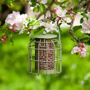 Squirrel Proof Peanut Bird Feeder