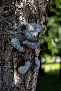 Koala Tree Peeker Garden Ornament