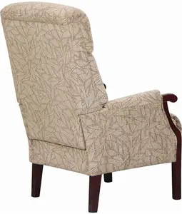 Careco, Aster Fireside Chair – Comfortable Design, Soft Upholstery, Ideal For Home Or Care Environments