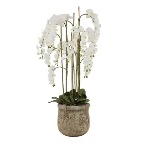 Artificial Large Orchid In Antique Pot - Plastic/Stone - L40 x W40 x H153 cm - White