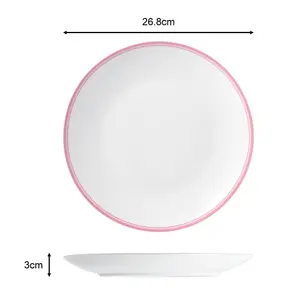 16pc St Ives Stripe Dinner Set - Pink