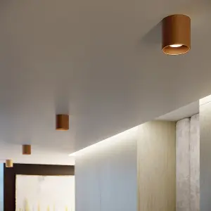 Orbis Steel Gold 1 Lights Minimalistic Wall Light