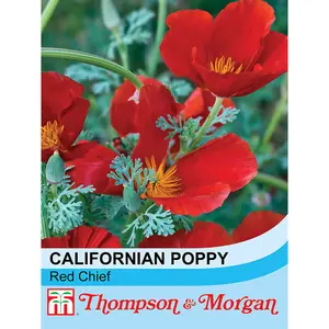 Californian Poppy Red Chief 1 Seed Packet (300 Seeds)