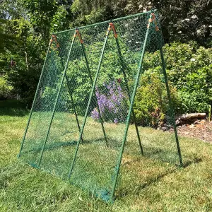 GardenSkill Pea Master Heavy Duty Pea Frame & Climbing Plant Support Grow House 0.75x1.2m H