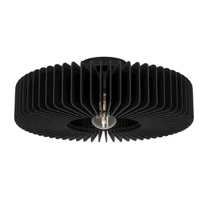 Eglo Palombaia Black Wooden Ceiling Light