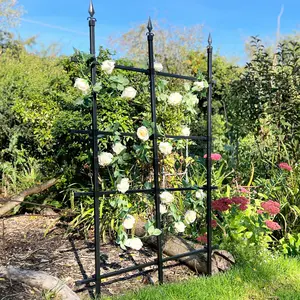 Garden Trellis for Climbing Plants 5ft / 90x150cm High - Metal Rose Fence & Privacy Screen for Lawn Borders Edging Plant Support