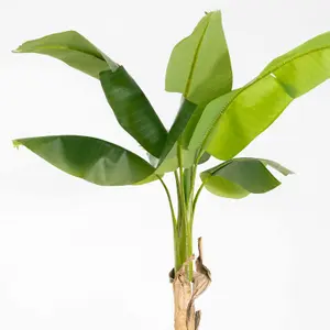 Blooming Artificial - 170cm / 5.5ft Artificial Musa Banana Tree