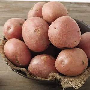 Grow Your Own Vegetables - Potato Setanta 4kg