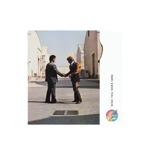 Pink Floyd Wish You Were Here Canvas Print Multicoloured (One Size)