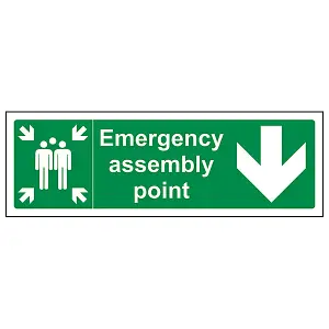 Assembly Point Arrow DOWN Safety Sign - Adhesive Vinyl 300x100mm (x3)