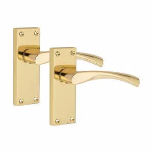 6 Sets Victorian Scroll Astrid handle Polished Brass Finish 120mm x 42mm With 2.5" Latch and 1 Pair of Hinges - Golden Grace