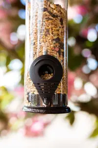 Nature's Market Wild Bird Hammertone Seed Feeder BF040