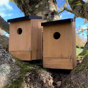 Traditional Wooden Bird Nest Box Birdhouses with Removable Bases (Set of 2)