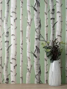 Fine Decor Birch Trees Sage Wallpaper FD43291