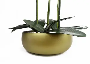 60cm Orchid Black - Gold Ceramic Planter