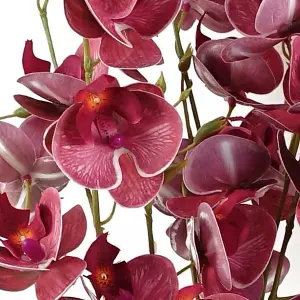 80cm Dark Pink Artificial Mini Orchid Stem