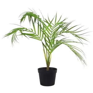 50cm Artificial Palm Tree Plant - Compact Shape