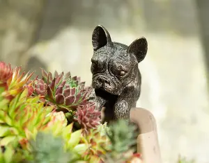 French Bulldog Plant Pot Hanger