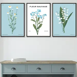 Set of 3 Framed Vintage Graphical Blue Spring Wild Flower Market / 30x42cm (A3) / Black