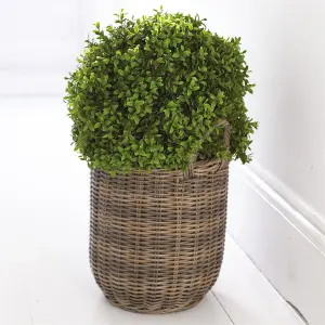 Bloom Artificial Large Boxwood Ball Topiary in Nursery Pot - Faux Fake Realistic Green Plant - Measures H50cm x 40cm Diameter