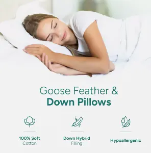 Goose Feather & Down Pillows, Extra Filled Hotel Quality (Pack of 4)