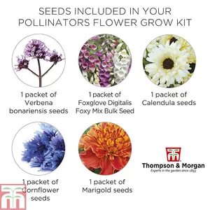 Pollinators Flower Seed Grow Kit - 1 Pack